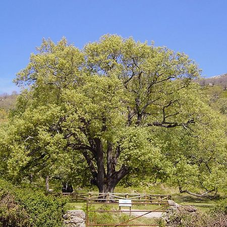 Casa Rural Romanejo Cabezabellosa Eksteriør billede
