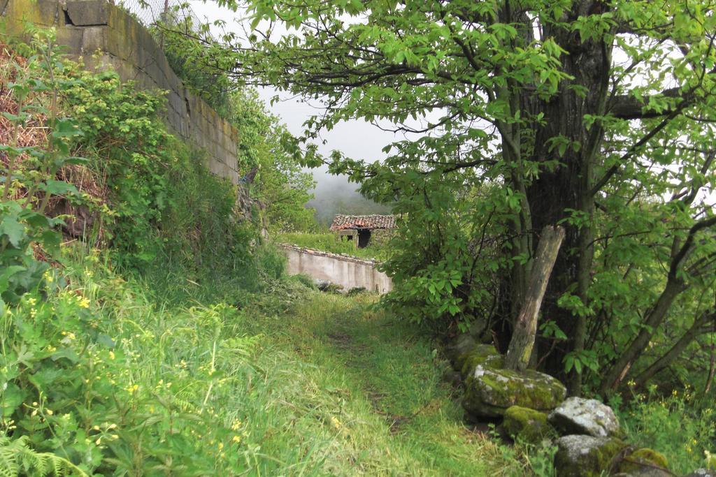Casa Rural Romanejo Cabezabellosa Eksteriør billede